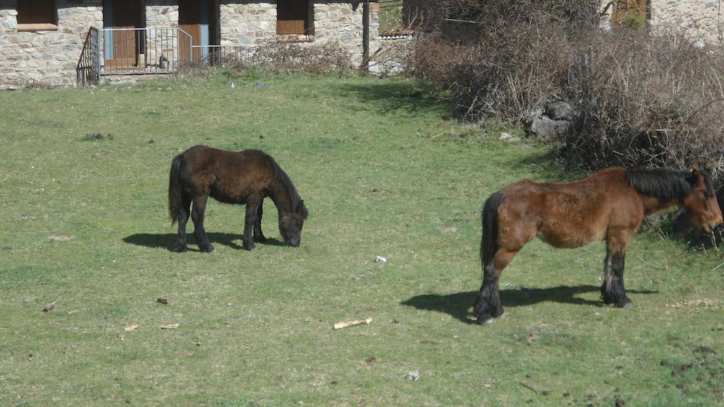 El Rincon De Zaldierna מראה חיצוני תמונה